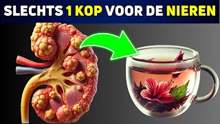 De 5 Beste Theeën voor Gezonde Nieren en Verlaging van de Bloeddruk [upl. by Marvella]