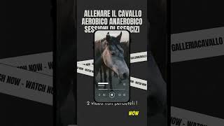 Allenamento del cavallo galleriacavallo allenamentocavallo aerobico anaerobico [upl. by Padraic]