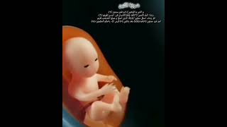 Quran surah Alteen By Paradise world yt short [upl. by Auqenaj716]