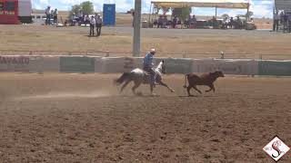 2018 Landmark Classic Young Guns Winner  One Stylish Pepto amp Brad Buttsworth [upl. by Reilly]