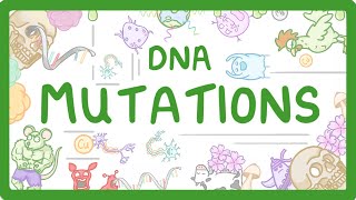 GCSE Biology  What are DNA Mutations 67 [upl. by Rodoeht545]