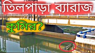 তিলপাড়া ব্যারেজ এ কি হলো  Tilpara barrage vlog [upl. by Jodoin626]