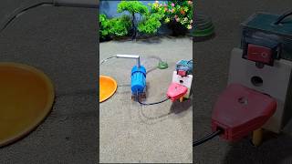 Mini motor water pump project cow video cow water will drink  310 [upl. by Aknahs]