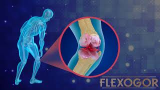 Flexogor  A Formula For Joint Recovery [upl. by Hoyt]