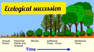 Succession  Ecology part1 lec14  By Rubi [upl. by Ybur]