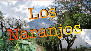 Los Naranjos [upl. by Narton549]