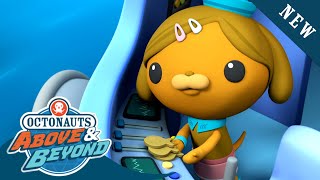 Octonauts Above amp Beyond  The Beginning of the Mystery of the Long Fin Eels  Octonauts​ [upl. by Suqram]