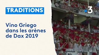 Vino Griego dans les arènes de Dax 2019 [upl. by Luht]