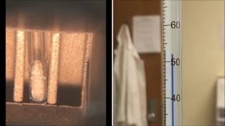 Melting Point Measurement [upl. by Pius51]