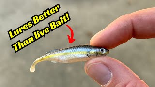 These Minnow Lures Are Better Than Live Bait [upl. by Syah]