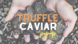 Truffle Caviar Dinner in Napa Valley with Acclaimed Chefs [upl. by Timi]