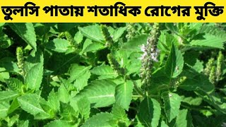 Tulsi Patar Upokarita  Tulsi Pata Khele Ki Hoy  Tulsi Patar Gunagun [upl. by Starinsky]