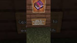 Enchantments for Chestplate tips forbegginer [upl. by Filip]