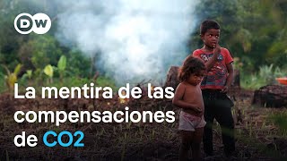 De la reforestación a la compensación de CO2 los sucios trucos de las empresas  DW Documental [upl. by Holsworth884]