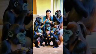 Gorilla family party funny funnyanimal bgm cute sorts ytshorts trending viralvideo [upl. by Enilemme]