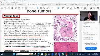 BONE PATHOLOGY INTRO AND LECTURE [upl. by Eidak]