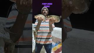 கார்வாய் மீன் 🎣🐟🎣 பிடித்ததில் மகிழ்ச்சி அடைந்த மீனவர்fishing seafood seafish [upl. by Nim]