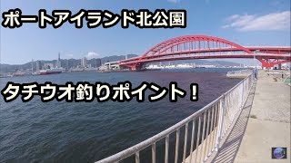 ポートアイランド北公園でタチウオ釣り！釣果の上がるポイント解説！ [upl. by Julis]