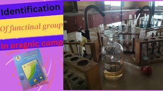 Identification of functional group 12th chemistry practical 12thchemistry lab a2zpractical991 [upl. by Candida]