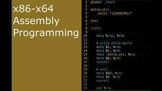 x8664 Assembly ASM 1  Hello World [upl. by Wilterdink619]