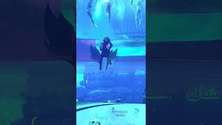 Synchronized swimming Underwater ballet [upl. by Anigal]