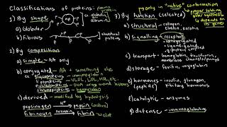 BIOCHEM 16  Protein Classifications and Common Examples [upl. by Initsed]