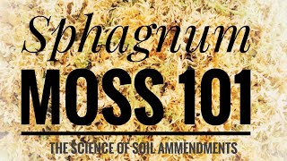 SPHAGNUM MOSS 101 HOW TO USE MOSS AS A SOIL AMENDMENT THE PROS amp CONS  Gardening in Canada 🪴 [upl. by Hsina922]