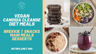 Vegan Candida Cleanse Diet Recipes and Meals for a Day [upl. by Jaclin]