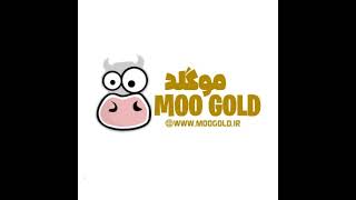 ABOL MOOGOLD Live Stream [upl. by Uah]