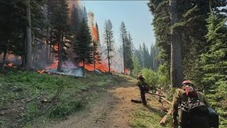 Wildfire roundup Lava Boulder Fires merge retain name of Lava Fire [upl. by Einahpetse]