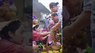 Harvesting Rambutans RambutanHarvest TropicalFruits AsianCuisine FreshFruitRecipes [upl. by Lemraj]