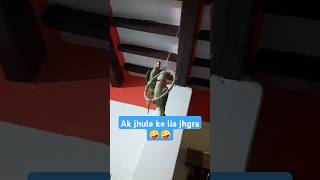 Parrot sound parrotsound parrottalking mitthu indianringneckparrot viral😁😁 [upl. by Leland]