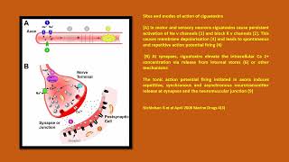 Neurology Quiz 85 Marine neurotoxins [upl. by Ahsinaj]