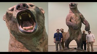 Arctodus Short Faced Bear Sound Effects Vol 2 [upl. by Palila]