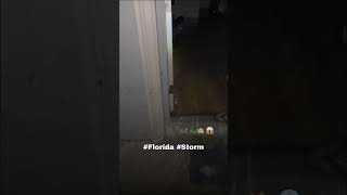 Alligator in kitchen From Hurricane Milton WILD [upl. by Cammie]