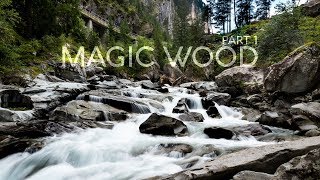 Magic in the Woods  Part 1 [upl. by Killam]