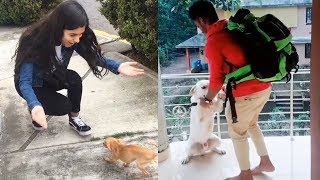 Dogs Meets Owner After Long Time  TRY NOT TO CRY [upl. by Atikram707]