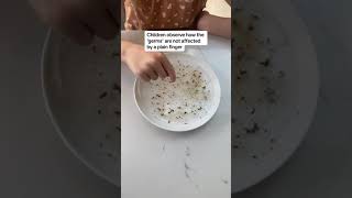 Germs Experiment for kids experiments [upl. by Widera]