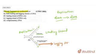 Okazaki fragments are synthesized on [upl. by Rianna]