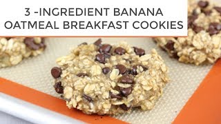 3INGREDIENT BANANA OATMEAL BREAKFAST COOKIES [upl. by Ingalls]