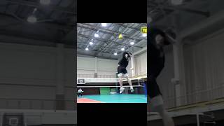 Nishidas serve 🤯🔥edit athlete love volleyball ball vertical spike athletic movie [upl. by Vinni]