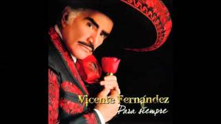 Vicente Fernandez El ultimo en la fila [upl. by Pippy]