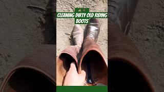 Satisfying polish of Equestrian Rider Boots [upl. by Eniawd]