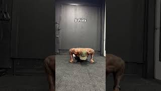 Insane pushups challenge pushups challenge viralshorts fitness workout athomeworkout [upl. by Quintessa847]