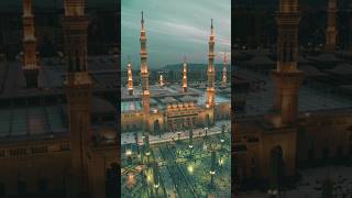 Bulalo sarkar hameen Madina islamicstatus madinha music unfrezzmyaccount [upl. by Emylee997]