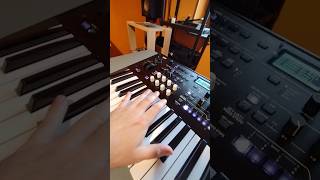 EXPERIMENT ON KORG WAVESTATE MK2SOUNDEFFECTSSTRINGSEPICMUSICSYNTHELECTRONICMUSICLIVEMUSICIDM [upl. by Kerman]