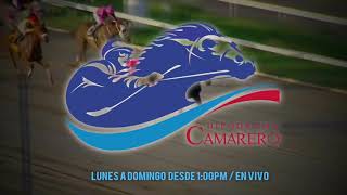 Hipódromo Camarero promo WIPR Deportes 940am [upl. by Tanah481]