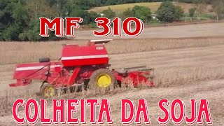 Colheita da Soja MF 310Colhendo Média de 60 Por Hectares [upl. by Jo Ann292]