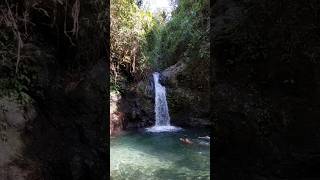 Taking a dip at the refreshing waters of the Gabaldon Falls in Nueva Ecija is always a good idea [upl. by Dixon236]