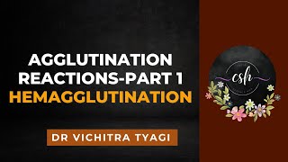 AGGLUTINATION REACTIONS PART1 ACTIVE AGGLUTINATION DIRECT HEMAGGLUTINATIONviral hemagglutination [upl. by Ulrick]